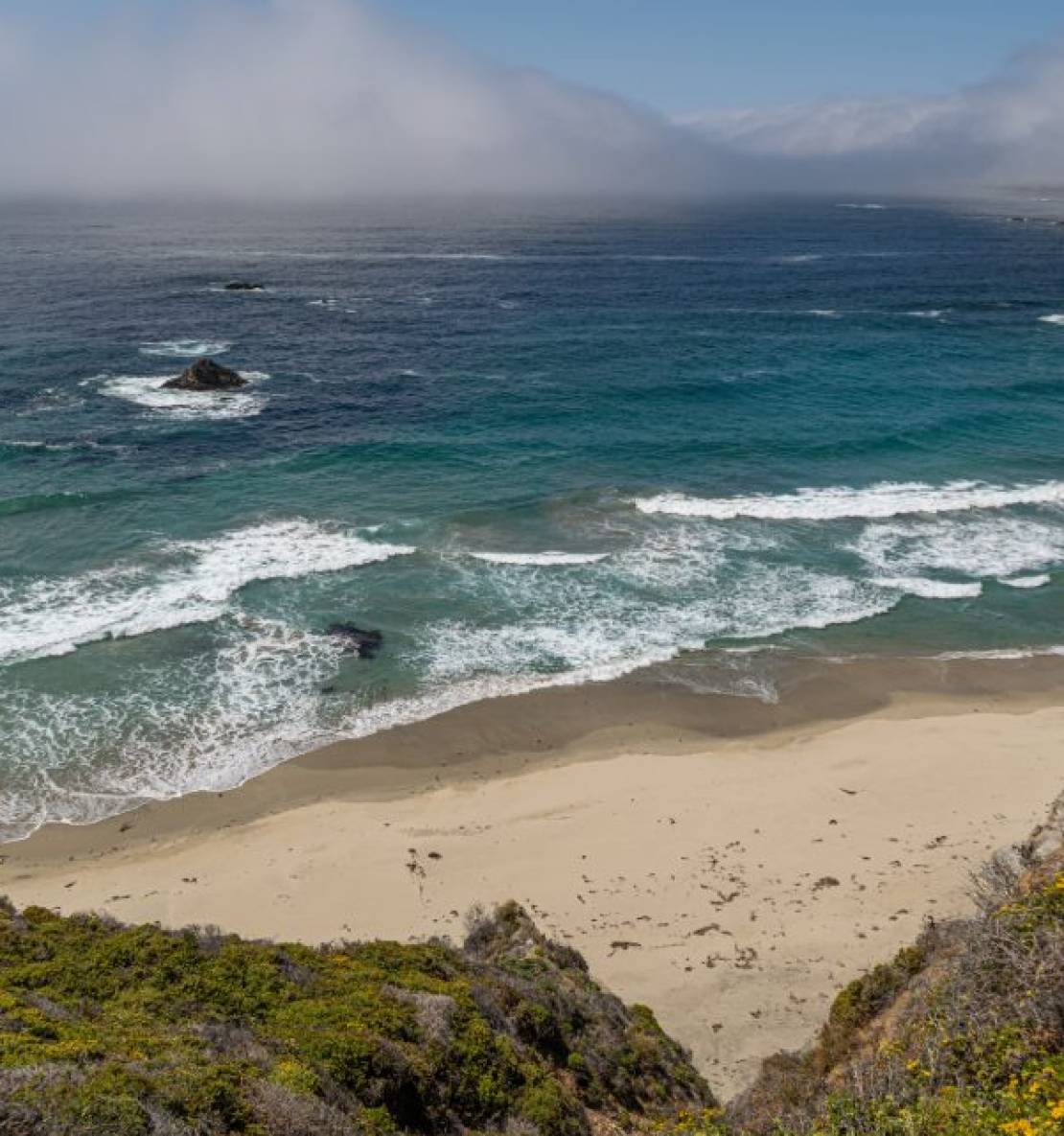 Sapore di California
